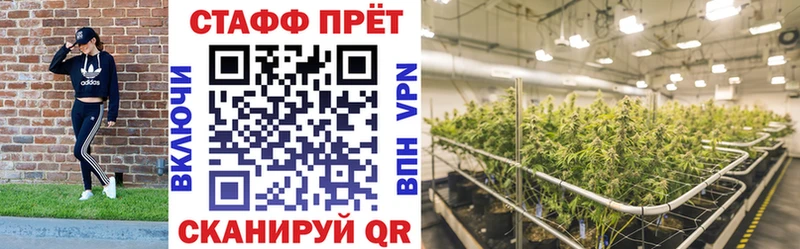 Наркошоп купить Псилоцибиновые грибы  Каннабис  Героин  Гашиш  Меф мяу мяу  Холм