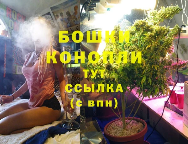 спиды Чегем