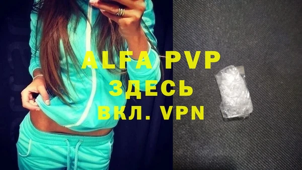спиды Чегем