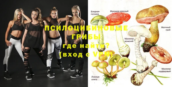 меф Чердынь