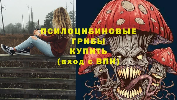 меф Чердынь