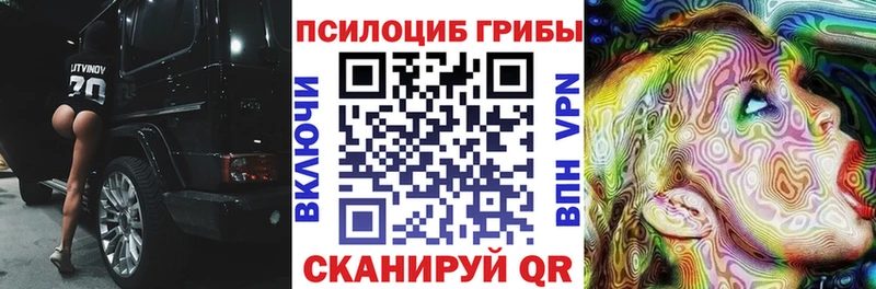 Галлюциногенные грибы Psilocybine cubensis  Купить закладки  Холм 