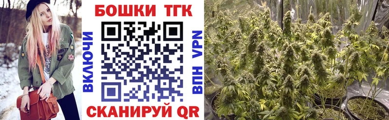 Купить где Холм Конопля индика